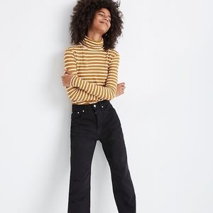 Madewell Whisper Cotton Turtleneck Helene Stripe